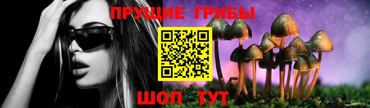 Галлюциногенные грибы мицелий Таганрог